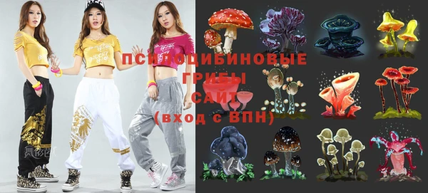 дурь Верея
