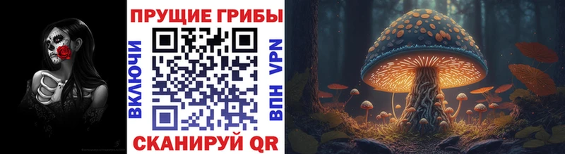 как найти закладки  Астрахань  дарк нет телеграм  Галлюциногенные грибы GOLDEN TEACHER 